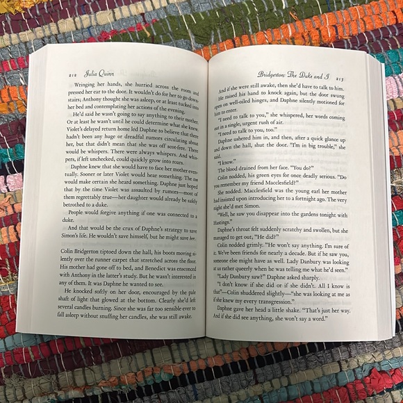 Bridgerton Book 1: The Duke and I - Picture 3 of 3